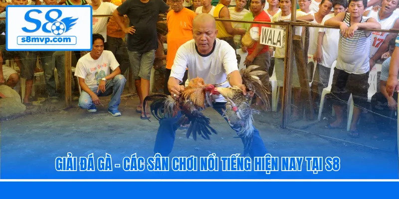 Giải Đá Gà - Các Sân Chơi Nổi Tiếng Hiện Nay Tại S8