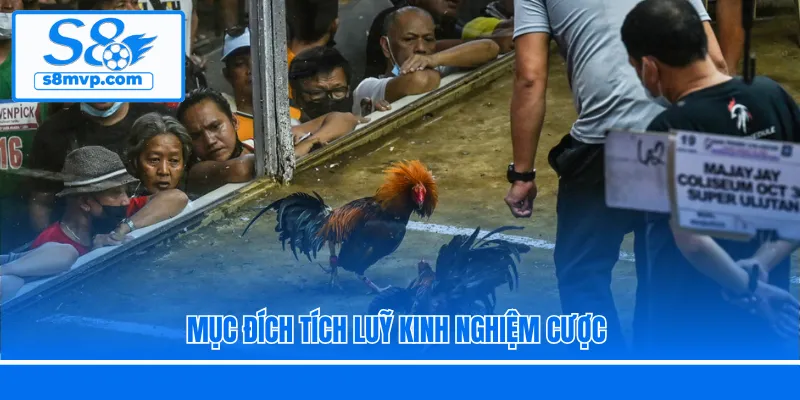 Mục đích tích luỹ kinh nghiệm cược