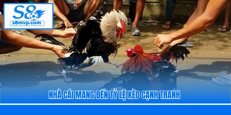 Nhà cái mang đến tỷ lệ kèo cạnh tranh