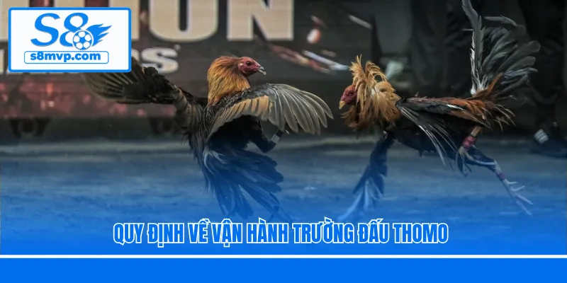 Quy định về vận hành trường đấu Thomo