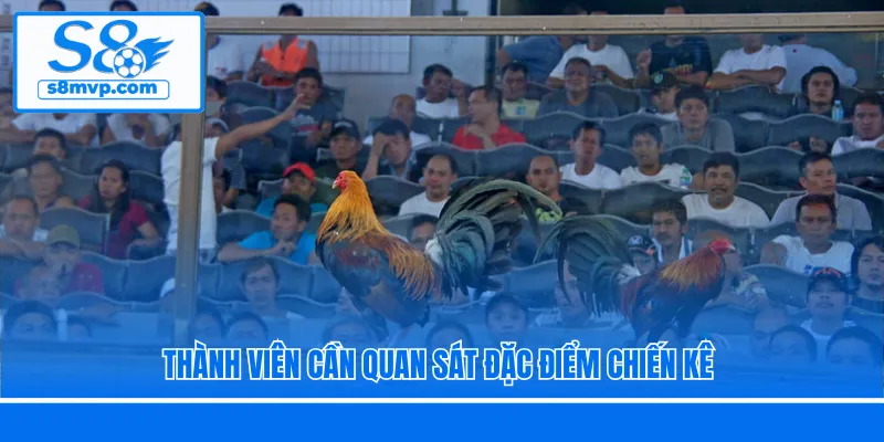 Thành viên cần quan sát đặc điểm chiến kê