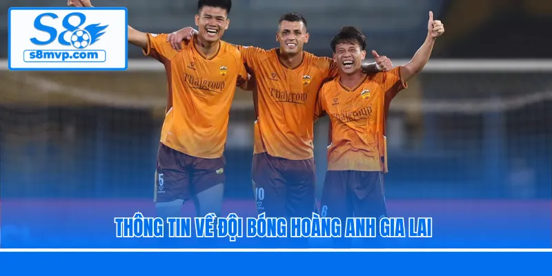 Thông tin về đội bóng Hoàng Anh Gia Lai
